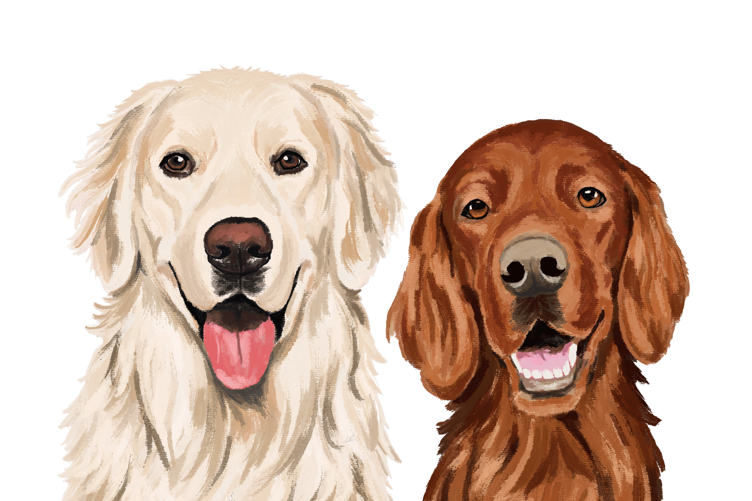 Life with Shop Dogs: Orla & Amber